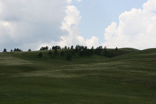 A beautiful view of the trees on a grass covered hill under the cloudy sky