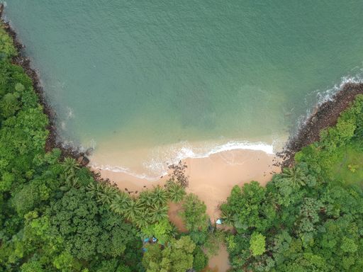 an Aerial shot over a jungle beach