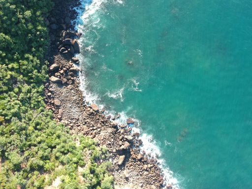 an Aerial shot over a jungle beach