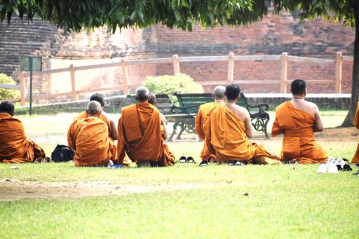 A back view of a group of Buddhist monks sitting on the grass