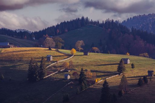 An aerial view of mountain landscape with dense trees during sunset