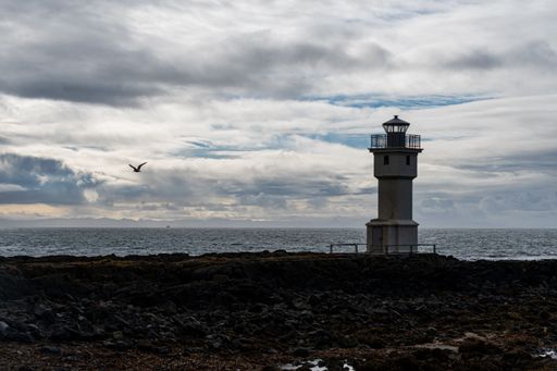 A silhouette of a bird flying over a sea near the lighthouse against a cloudy sky