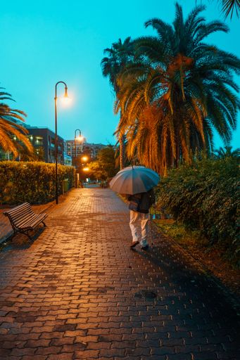 A vertical shot of a person holding an umbrella walking in the street at night on Madeira Island, Portugal