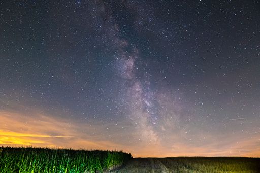 The beautiful view of the starry sky above the green field.