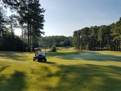 A golf cart parked on the lush green grass of a gold club on a sunny day