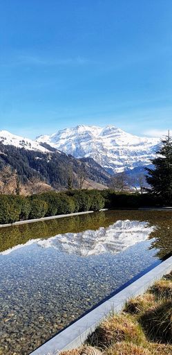 A vertical shot of a canal surrounded by plants and snowy peak in the background under blue sky