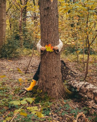 A vertical shot of a female holding a colorful leaf hiding behind a tree in a forest