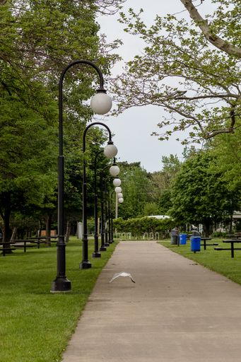 A vertical shot of a pathway surrounded by lamps and trees in a park