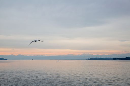 A sea with birds flying by during sunset with mountains in the background