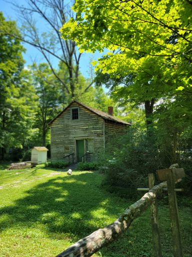 A vertical shot of the small wooden house with a beautiful park surrounded by trees and green grass in the daytime
