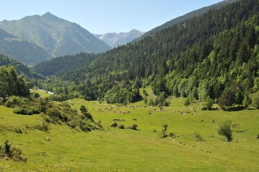 A scenic landscape of the Regional Park of the Catalan Pyrenees during daytime in France