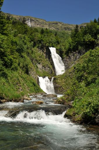 A waterfall in the middle of a lush green forest filled with trees