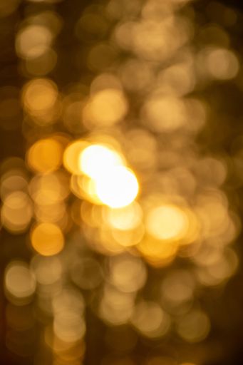 Perfect picture for backgrounds of a blurred sunset in the forest.