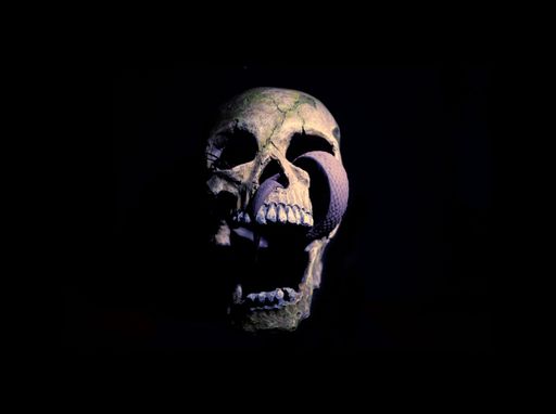 A purple snake crawling inside a skull on a black background