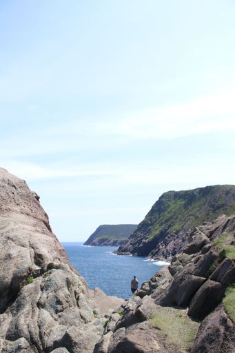 The man standing on the edge of a cliff and looking at the sea. Newfoundland, Canada.