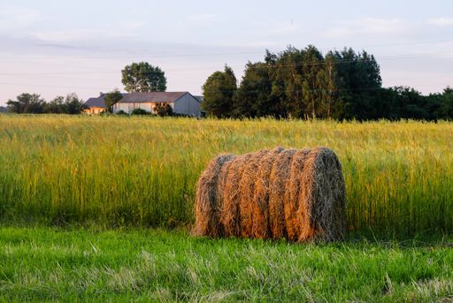 A beautiful view of a haystack by a farm with the trees and barns in the background