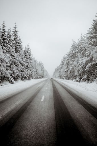An empty asphalt road lined with fir trees covered with snow