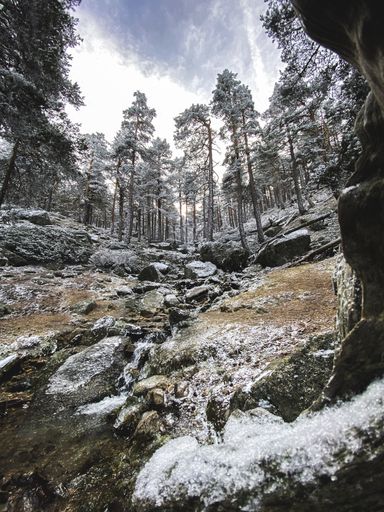 A low angle shot of a rocky forest landscape partially covered with snow