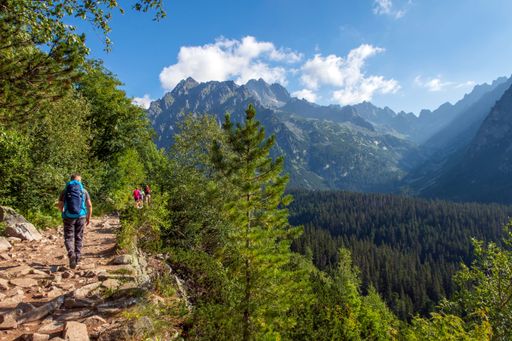 A group of hikers walking along a rocky path surrounded by lush greenery. High Tatras, Slovakia.