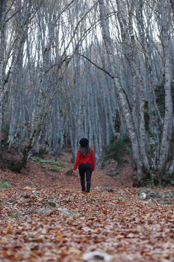 A vertical shot of a young female in a red shirt standing in front of a forest on a cold autumn day