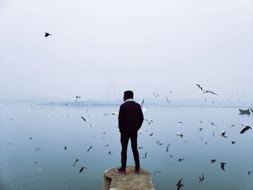 A man standing on a concrete surface over a calm sea with flying seagulls in New Delhi, India