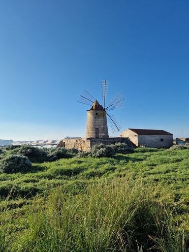 An aerial view of windmill in greenery field in Trapani