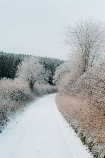 A closeup shot of a road covered by snow in Somerset, England.