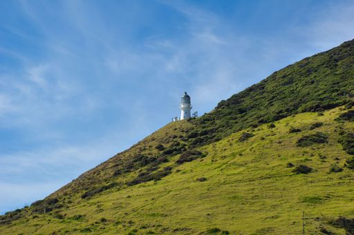 The view of Cape Brett Lighthouse on a green hillside. New Zealand.