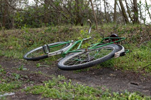 An abandoned bike lying on the ground in a grassy and wooded area.