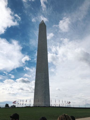 A vertical shot of a landmark in Washington DC