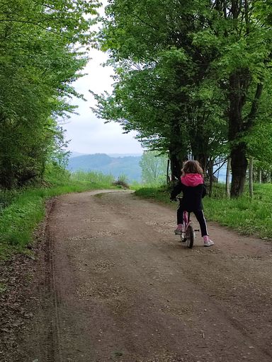 A vertical shot of a female riding a bike on a road in a park
