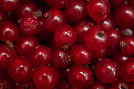 A closeup shot of a lot of red currants - great for a cool background or wallpaper