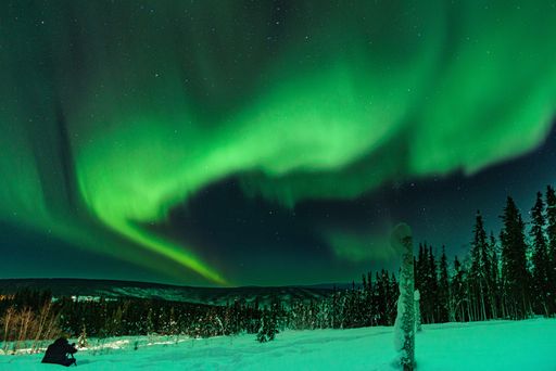 The bright aurora shining in the sky above the beautiful forest during the nighttime
