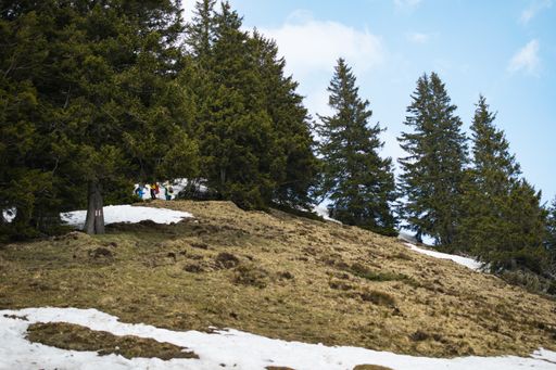 A group of people on a rocky hill with a lot of fir trees under a cloudy sky