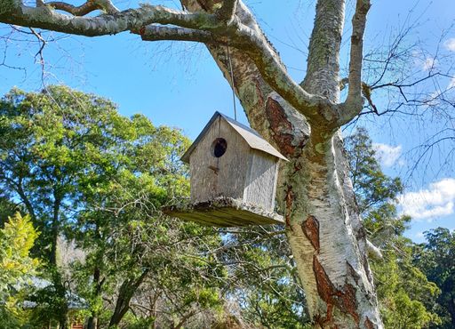 A view of rustic wood birdhouse hanging on a tree against a blue sky