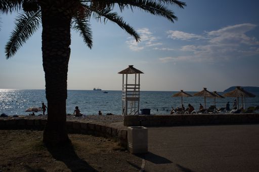 A beautiful view of people at the beach behind a palm under blue cloudy sky
