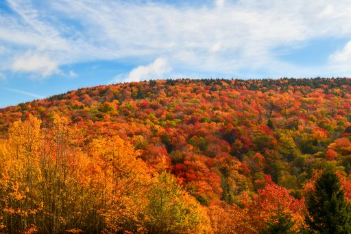 A beautiful areal view of a hill covered with vibrant autumn trees with a cloudy sky, West Virginia