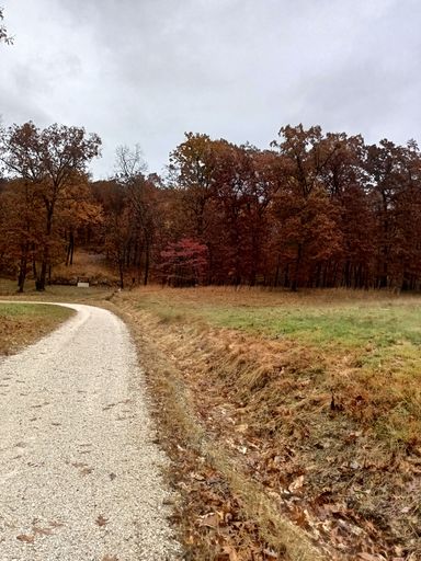 A scenic pathway winding through the lush grass leading to a picturesque woodland grove