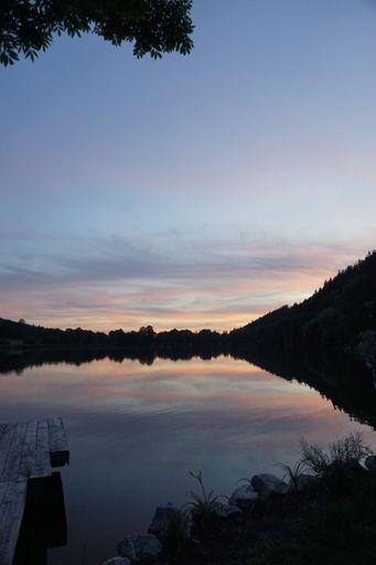 A beautiful view of a lake from a wooden deck in a forest with trees during sunset