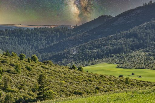 A mesmerizing shot of a beautiful dense forest under the milky way