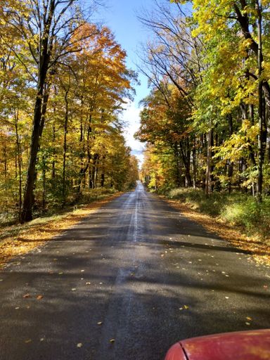 A vertical shot of a narrow road between trees on a sunny autumn day