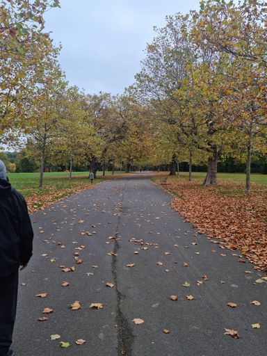 A vertical shot of a person walking down the trail in a park covered with fallen leaves
