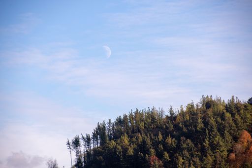 A scenic landscape of rolling hills dotted with trees against a bright blue sky