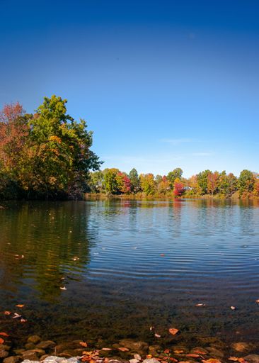 A beautiful shot of the blue  Kenisee Lake with autumn trees on the banks in Jefferson, Ohio