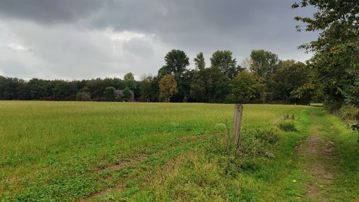 A scenic view of an open field with a tree line in the back seen on a cloudy day