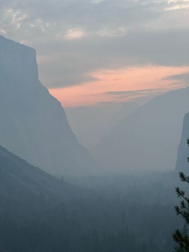 A vertical shot of a green forest in mountains at a cloudy sunset