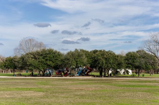 A scene of the many bare trees in the park covered with green grass in the daytime