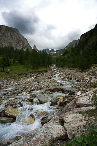 A vertical shot of a rocky stream flowing towards a spruce frest amid the rocks