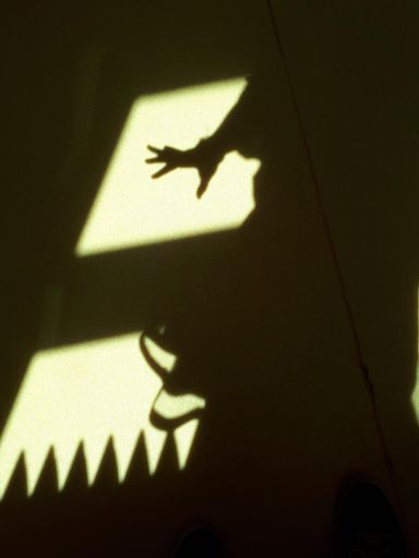 A persons shadow on the wall