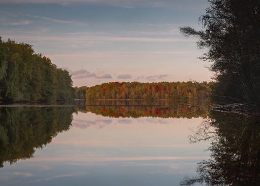 The green and red trees reflected in the calm lake in Sechs-Seen-Platte in Duisburg, Germany